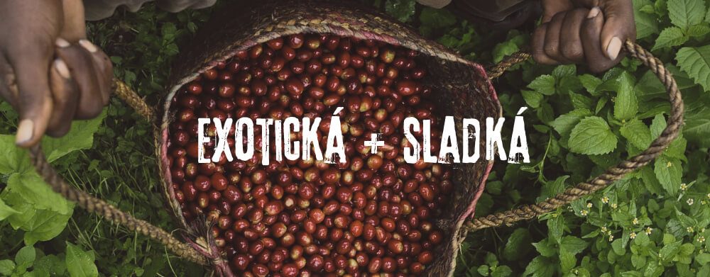 Chuťový profil pražené kávy King’s Coffee.