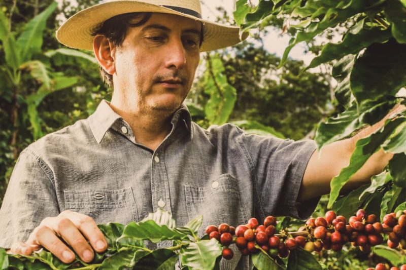Honduras Finca Jerusalén - King’s Coffee