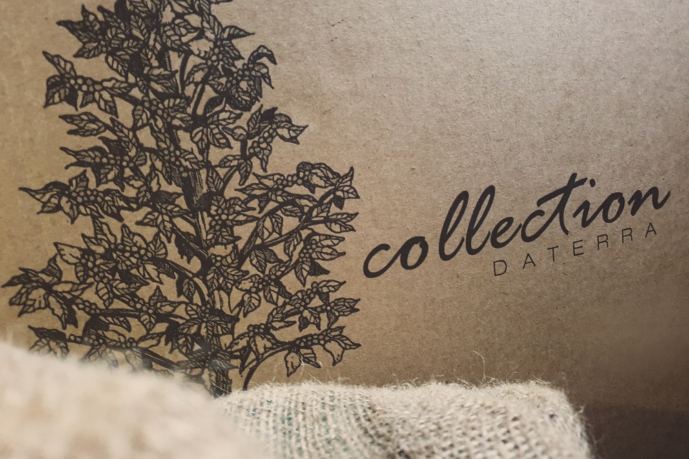 King’s Coffee - Brazil Sweet Collection