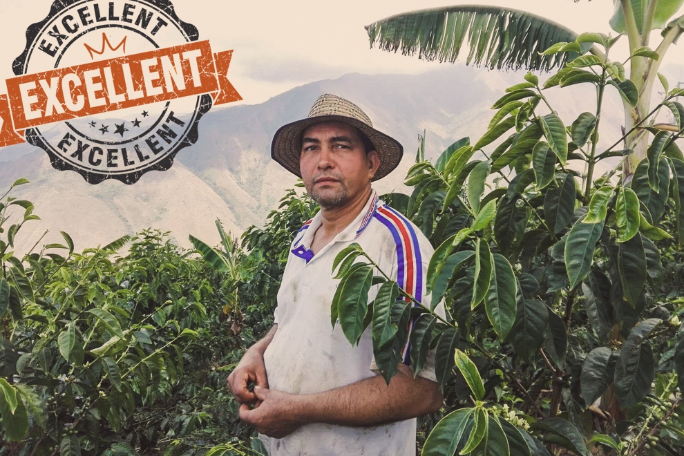 King’s Coffee - Colombia El Chorro